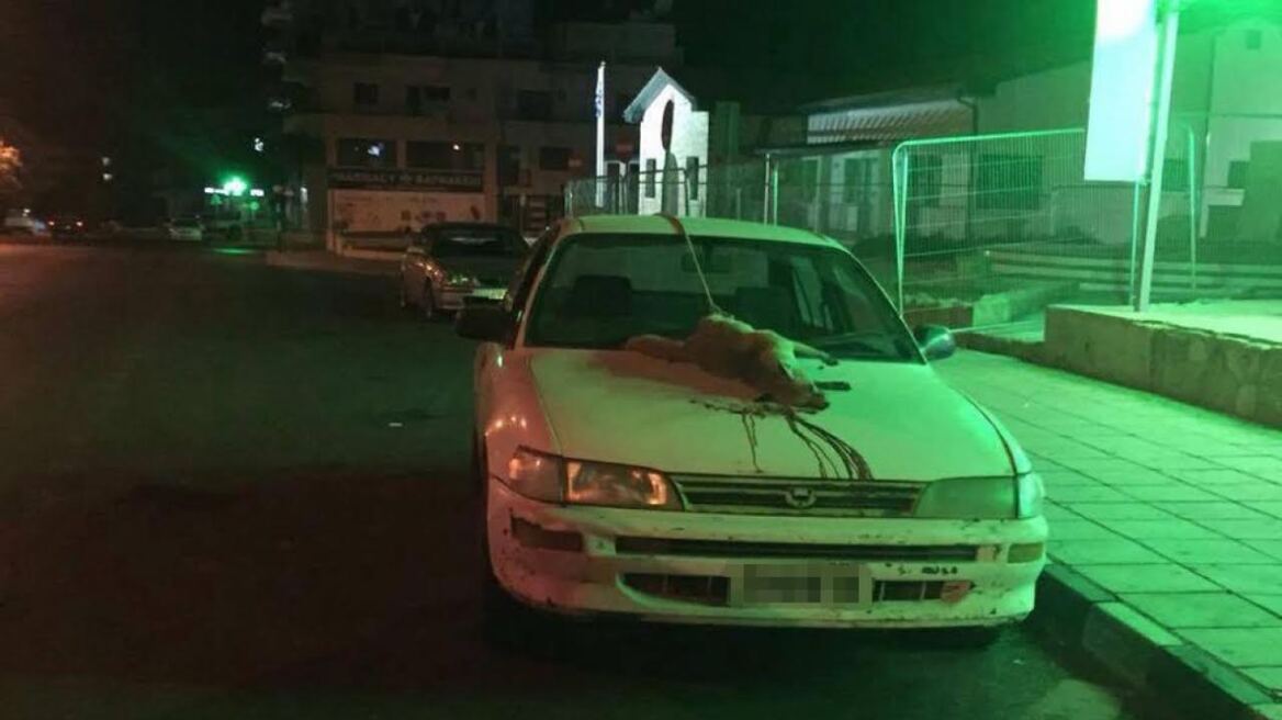Κύπρος: Έδεσε αλεπού πίσω από το αυτοκίνητο και την έσερνε